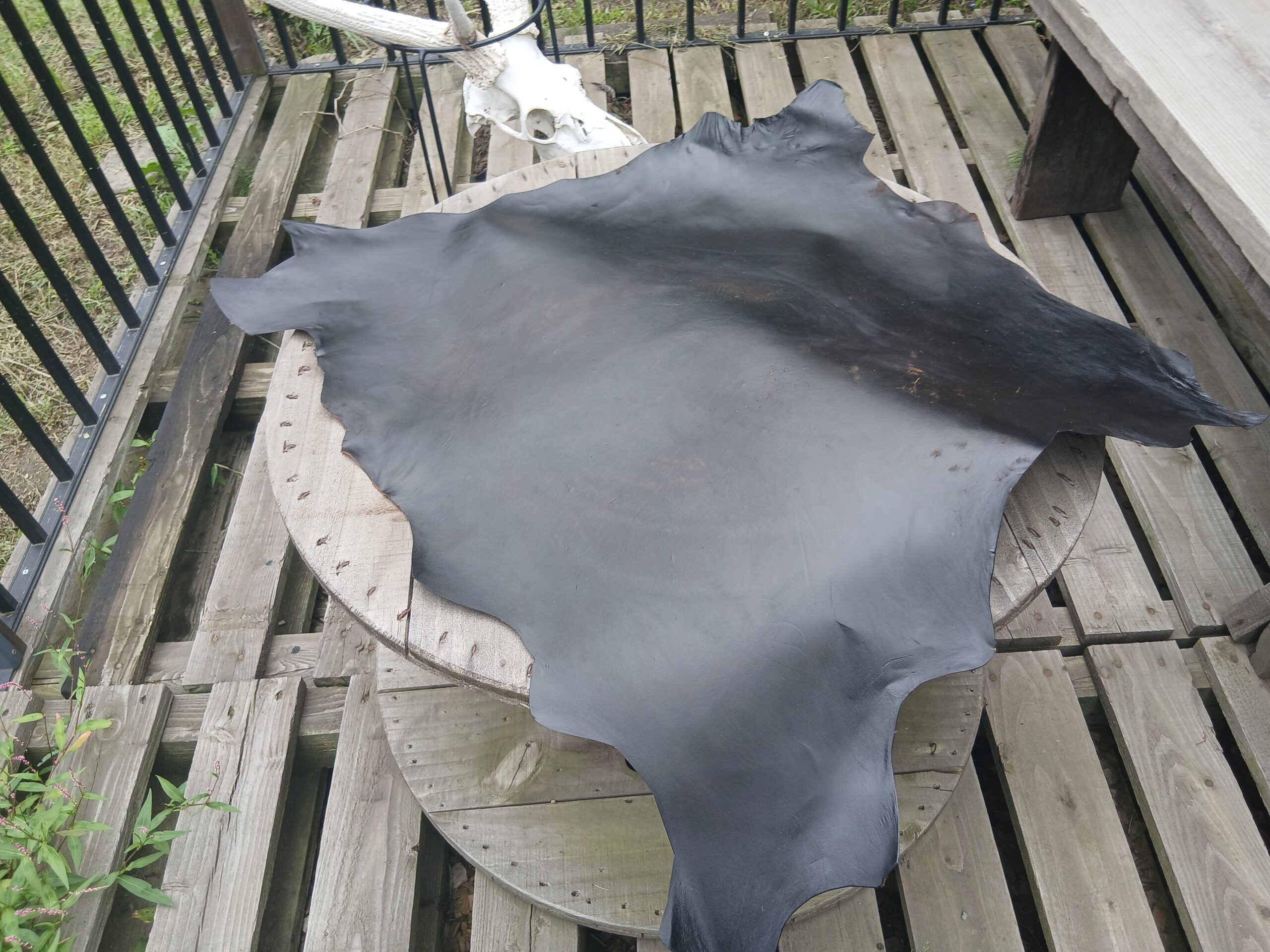 0歳雌鹿の黒化した植物タンニン鞣し革