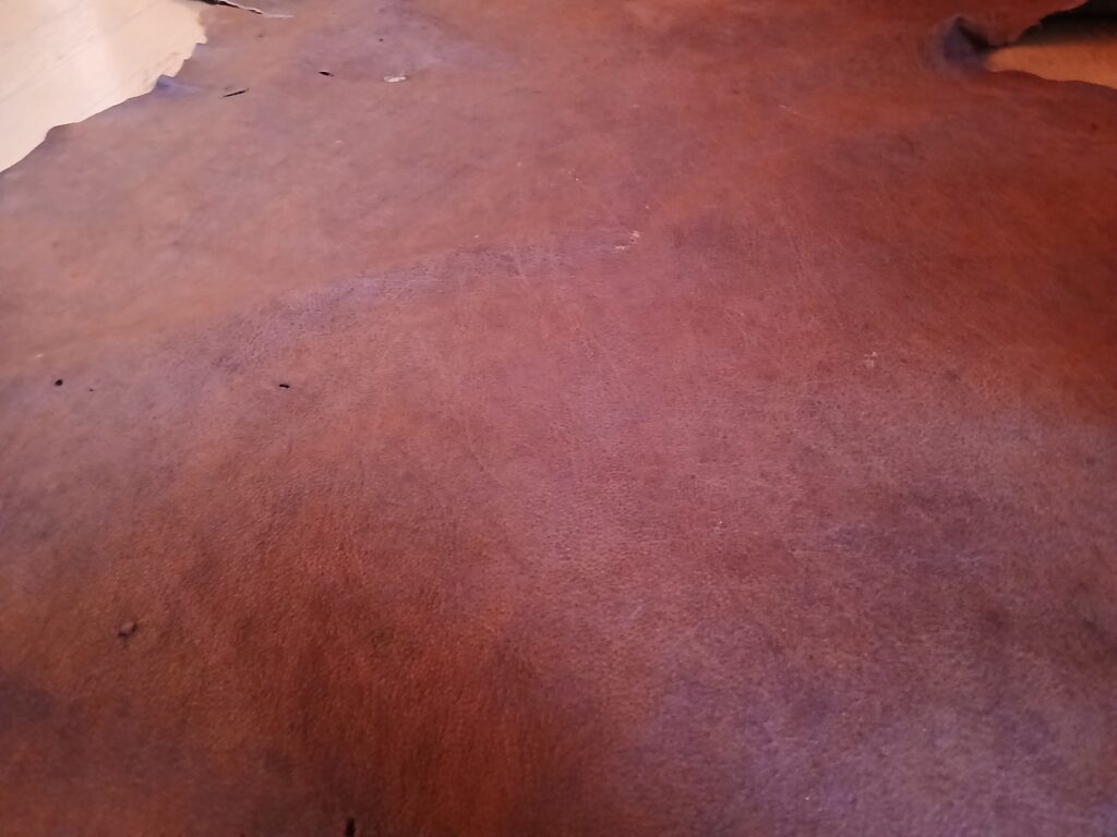 タンニン鞣しのヒグマ